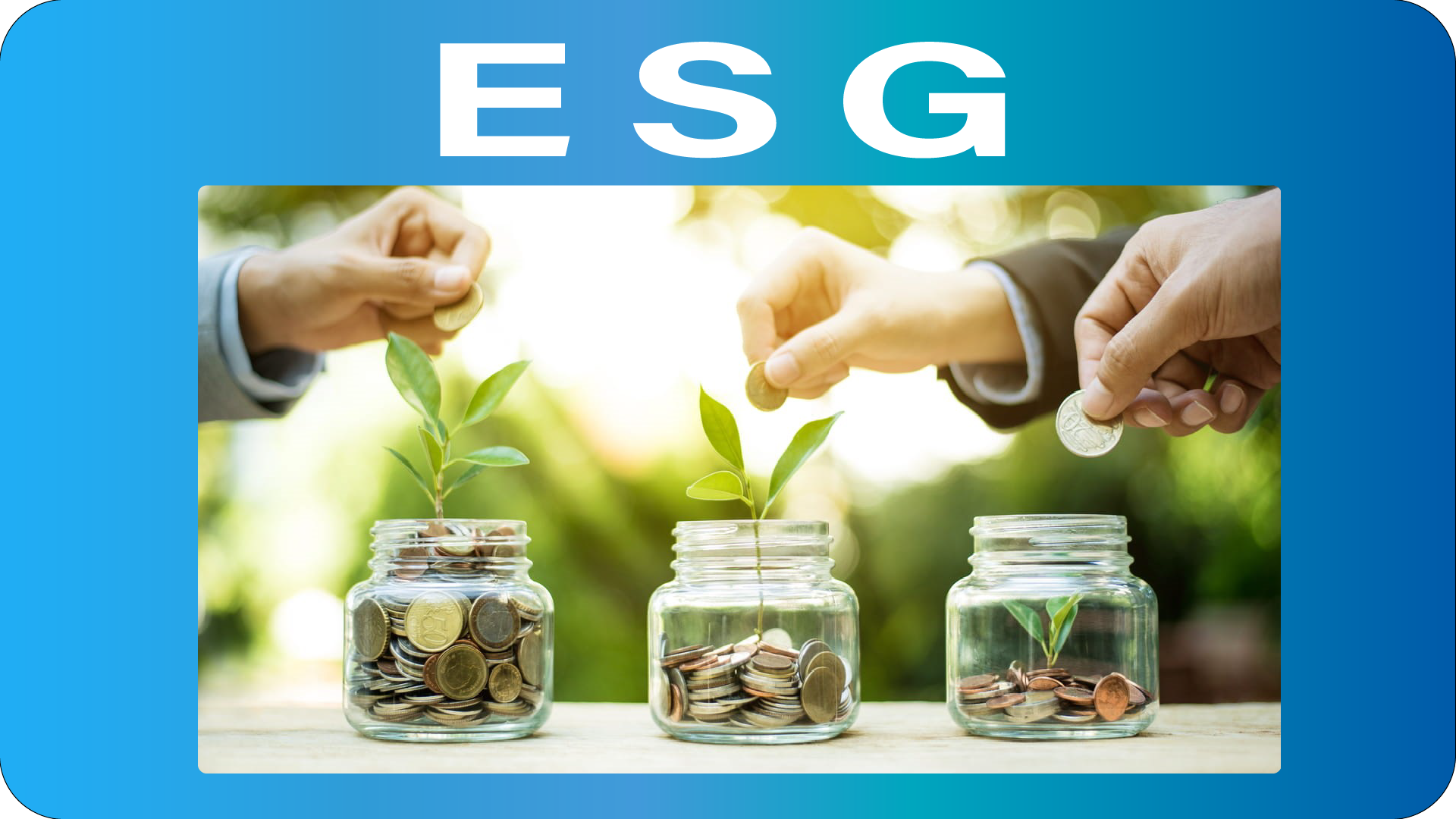 ¿Qué son los criterios ESG?